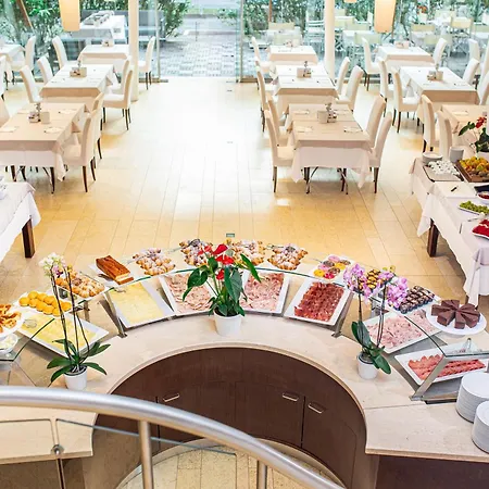 酒店 雷克斯酒店 4*